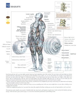 1978ba3fb3ee211fc8743a876bb0760f